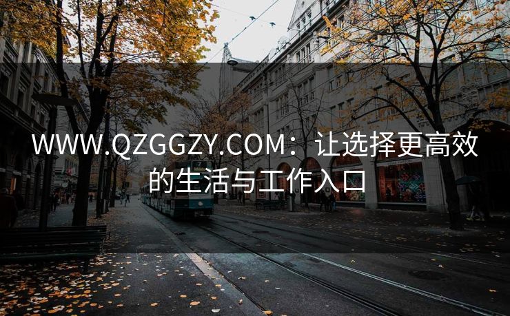 WWW.QZGGZY.COM：让选择更高效的生活与工作入口