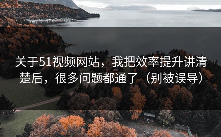 关于51视频网站，我把效率提升讲清楚后，很多问题都通了（别被误导）