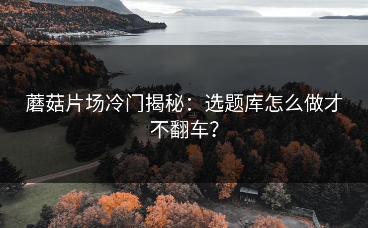 蘑菇片场冷门揭秘：选题库怎么做才不翻车？